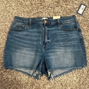 Universal Thread Blue Jean Shorts